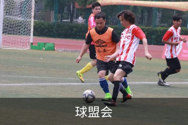 关于球盟会